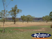 Range from Victoria River Roadhouse . . . CLICK TO ENLARGE