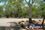 Mataranka Homestead Resort . . . CLICK TO ENLARGE