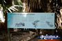 Mataranka Hot Springs Information Sign . . . CLICK TO ENLARGE