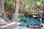 Hot Springs in Mataranka . . . CLICK TO ENLARGE