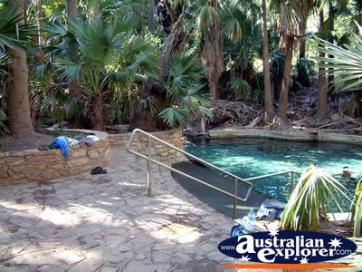 Mataranka Hot Springs pool . . . CLICK TO VIEW ALL MATARANKA POSTCARDS