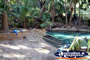Mataranka Hot Springs pool . . . CLICK TO ENLARGE