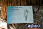 Mataranka Hot Springs Sign . . . CLICK TO ENLARGE