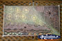 Mataranka Stockyard Gallery . . . CLICK TO ENLARGE