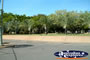 Darwin Landscape . . . CLICK TO ENLARGE