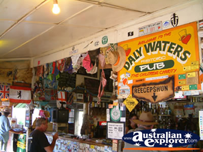 Daly Waters Pub Reception . . . CLICK TO VIEW ALL DALY WATERS POSTCARDS