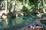 Mataranka Hot Springs . . . CLICK TO ENLARGE