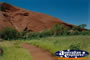 Ayers Rock Track . . . CLICK TO ENLARGE