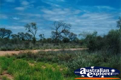 Road Through Central Australia . . . CLICK TO VIEW ALL MACDONNELL RANGES POSTCARDS