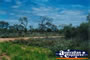 Road Through Central Australia . . . CLICK TO ENLARGE