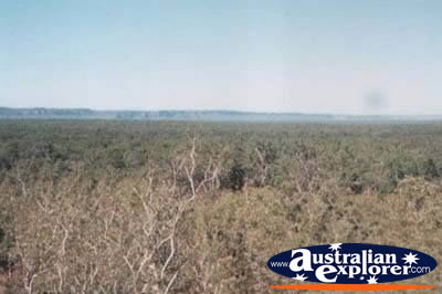 View of Kakadu . . . CLICK TO VIEW ALL KAKADU POSTCARDS
