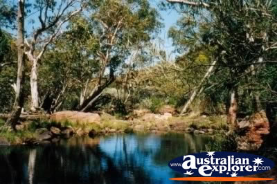 Kings Canyon . . . VIEW ALL KINGS CANYON GORGE PHOTOGRAPHS