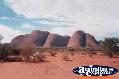 Olgas . . . CLICK TO VIEW ALL OLGAS POSTCARDS