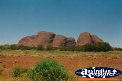 NT's Olgas . . . CLICK TO VIEW ALL OLGAS POSTCARDS