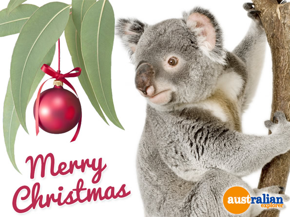 Christmas Koala . . . CLICK TO VIEW ALL CHRISTMAS POSTCARDS