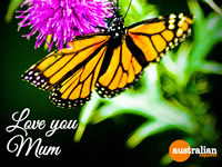 Mothers Day Butterfly . . . CLICK TO ENLARGE