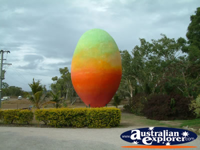 Big Mango in Bowen . . . CLICK TO VIEW ALL BIG ICONS POSTCARDS