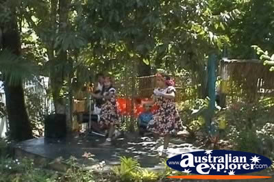 Aboriginal Dancers . . . CLICK TO VIEW ALL CULTURE POSTCARDS