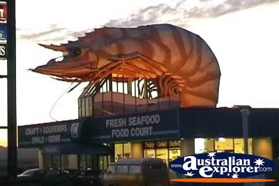Big Prawn in Ballina . . . CLICK TO VIEW ALL BIG ICONS POSTCARDS