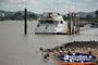 Large Cruiser . . . CLICK TO ENLARGE