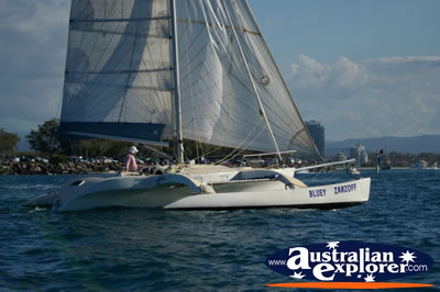 Sailing Yacht . . . CLICK TO VIEW ALL SEA POSTCARDS