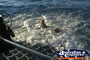 People Swimming in Boom Nets . . . CLICK TO ENLARGE