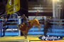 Bucking Bull at Rodeo . . . CLICK TO ENLARGE