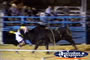 Bull And Man . . . CLICK TO ENLARGE