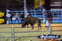 Riding a Bull at Rodeo . . . CLICK TO ENLARGE