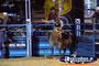 Rider Preparing To Ride Bull . . . CLICK TO ENLARGE