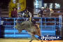 Bull Bucking at Rodeo . . . CLICK TO ENLARGE