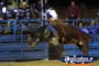 Bull Ready To Buck . . . CLICK TO ENLARGE