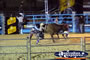 Action Shot of Bull Riding . . . CLICK TO ENLARGE