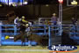 Bull Charging out a Pen . . . CLICK TO ENLARGE