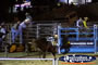 Exciting View of Rodeo . . . CLICK TO ENLARGE