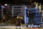 Closeup Action Shot at Rodeo . . . CLICK TO ENLARGE