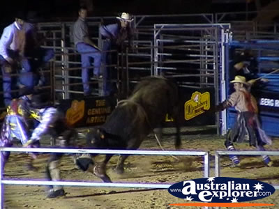 Rodeo Clowns . . . CLICK TO VIEW ALL RODEO POSTCARDS