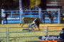 Bull Riding at Rodeo . . . CLICK TO ENLARGE