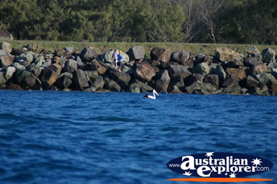 Rock Wall Fishing . . . CLICK TO VIEW ALL FISHING POSTCARDS