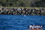 Rock Wall Fishing . . . CLICK TO ENLARGE