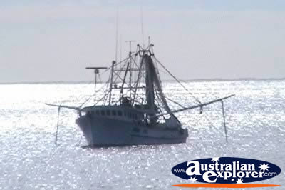 Fishing Boat . . . CLICK TO VIEW ALL SEA POSTCARDS