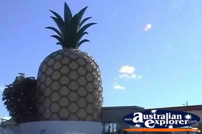 Big Pineapple at Gympie . . . VIEW ALL BIG ICONS PHOTOGRAPHS