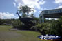 Big Cassowary in Mission Beach . . . CLICK TO ENLARGE