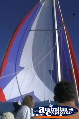 Sailing . . . CLICK TO VIEW ALL SAILING POSTCARDS