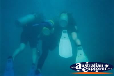 Scuba Diving Green Island . . . CLICK TO VIEW ALL SCUBA DIVING POSTCARDS