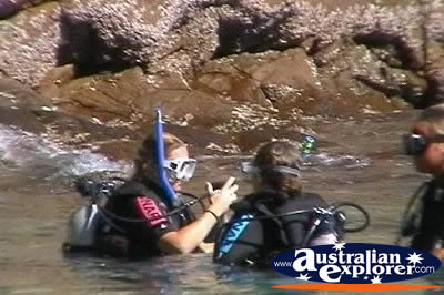 Scuba Diving Whitsundays . . . CLICK TO VIEW ALL SCUBA DIVING POSTCARDS