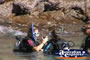 Scuba Diving Whitsundays . . . CLICK TO ENLARGE