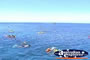 Snorkelling . . . CLICK TO ENLARGE