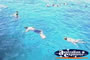 Snorkelling . . . CLICK TO ENLARGE