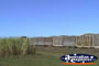 Sugar Cane Train . . . CLICK TO ENLARGE